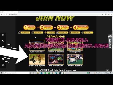 situs judi sabung ayam online 24 jam